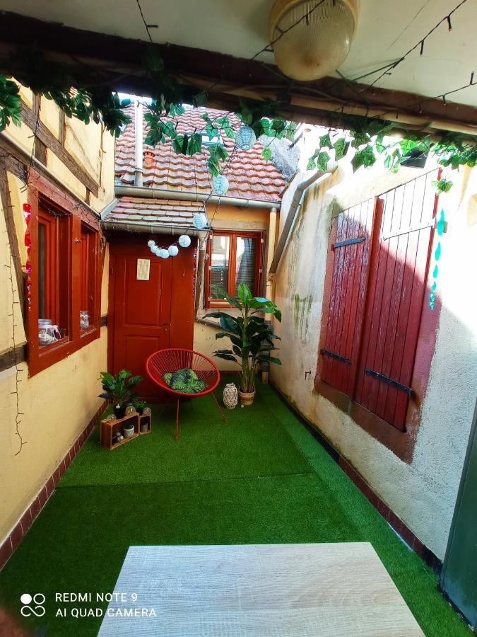 Happy Petite Venise 2 Apartment Colmar Bagian luar foto