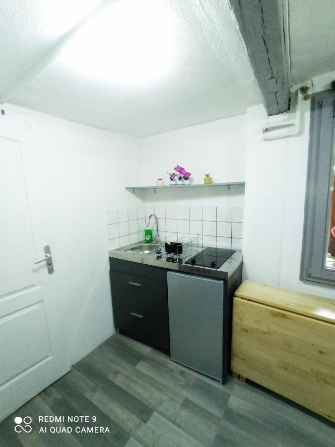 Happy Petite Venise 2 Apartment Colmar Bagian luar foto